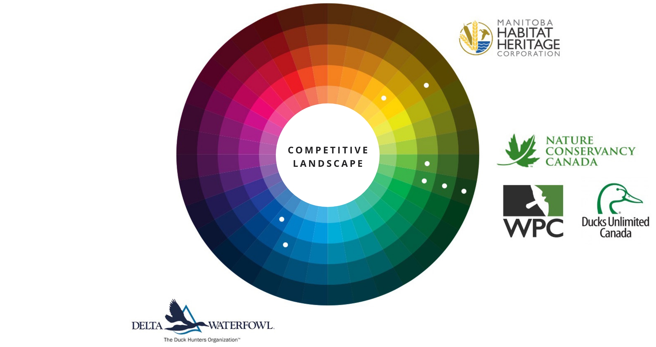 CompetitiveLandscape